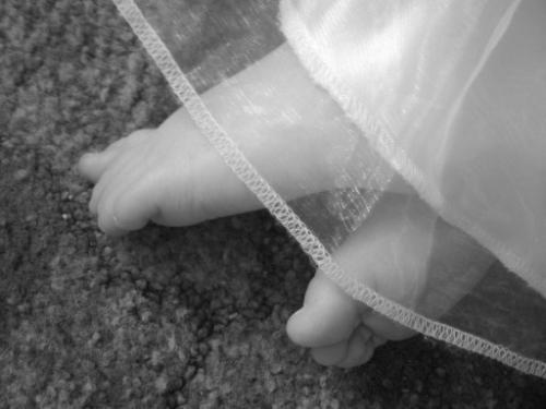 toes - what dance will these toes do in life?