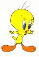 Tweety - Tweety is a bird that always gets chased by Sylvester. He is yellow and lives in a cage, except when he gets out. It is a cartoon.