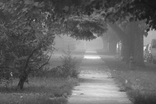street - morning hours street