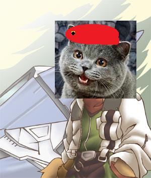 seargent happy cat has new assignment - today the newly assigned seargent happy cat has been givin a new car