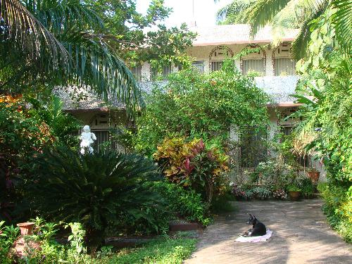 Me - That's me, Preiti, watching Mum watering the garden