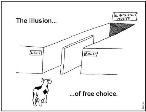 The illusion of Choice - This is the reality of the two party system. The sooner we do something about it...the better off we will be.