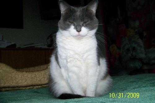 Striking a pose - This is 'mokey' striking a pose for the camera