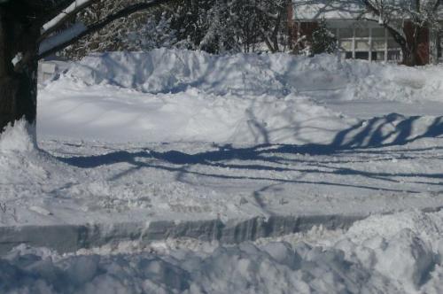 Delaware snow - Here is a picture of the circle near my parents house. You can see how much snow has piled up, some of which the snow plow pushed up along the circle. It has been a record year for snowfall in northern Delaware and winter is not even over yet. It will take a while for this snow to melt.