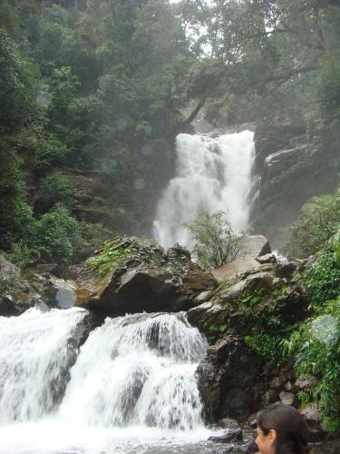 waterfalls - A local waterfall at Chikamaglur ..