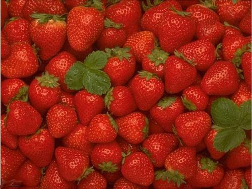 Smell of strawberries - Can you smell the strawberries?
