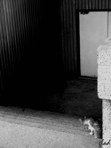 During our tour...still shots of just anything...2 - Saw the cat licking his paws...*click*