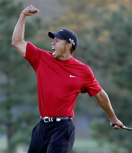 Expression of Tiger Woods - This is one of Tiger Woods Expression