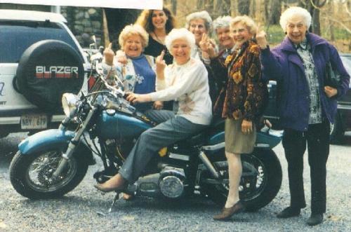 Granny's Give the Bird! - Don't mess with them. They look pretty tough to me.