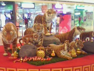 year of the tiger - taken at the mall..