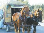 Lee the horse logger - Inspirational man traveling across the USA with his horse pulled wagon