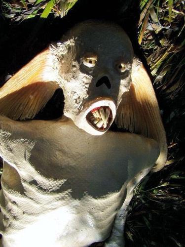 Mermaid in Tsunami - I came across some pictures that I received in email. I thought I will share it with everyone here.