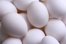 how many eggs should one eat in a week? - eggs r shown in the photo,which r good for health.