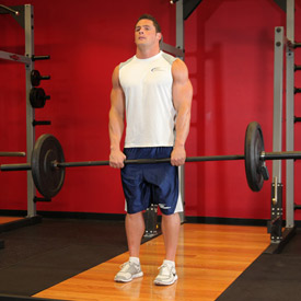 Body - Body building guy