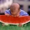 Watermelon - Delicious with nutrients