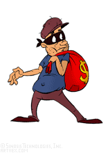 Burglar - An intruder.