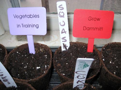Cute Signs - A gift from my daughter this past Christmas.