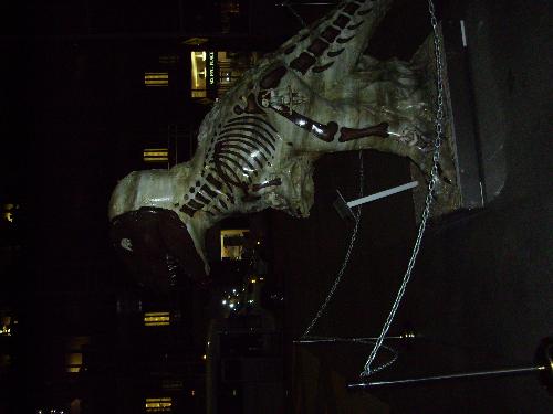 Pittsburgh 3 - The second of three in a series of dinosaur sculptures found in a square in the cultural district of Pittsburgh. This one is a T-Rex.