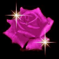 my rose - This is the photo I use for my avatar. I love this rose the most because a dear friend made it especially for me. Not that fushia is my favorite color, it is also my screen name, but it's my rose.