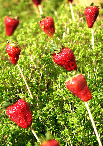 strawberry field forever - what does it mean?