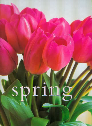 Spring - Tulips...Beautiful Spring Bolbs...
