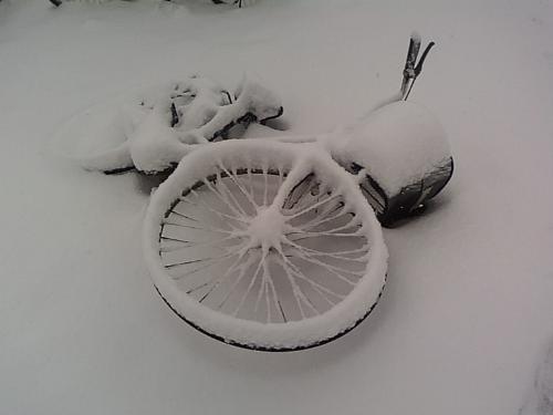 bicycle - It is snowing again,the bicycle is covered with snow!