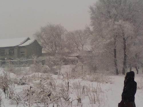 snows - it snows again in beijing