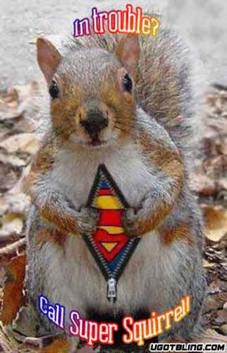 The new superman - That`s one of my favourite animals he is so sweet and soooo bad too :P