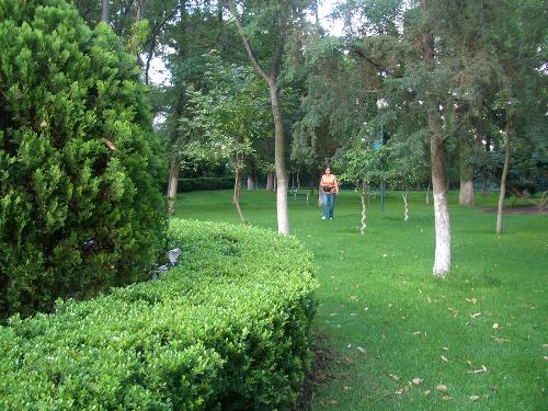 Jardines de Chapultepec at Ciudad de Mexico - I specially did not put one of the many pictues with beautiful buildings, as I have posted them at mylot. But the Chapultepec Gardens are as beautiful and well kept as the best gardens in Palces in Europe. We roamed there with my friend and she took this picture of me.