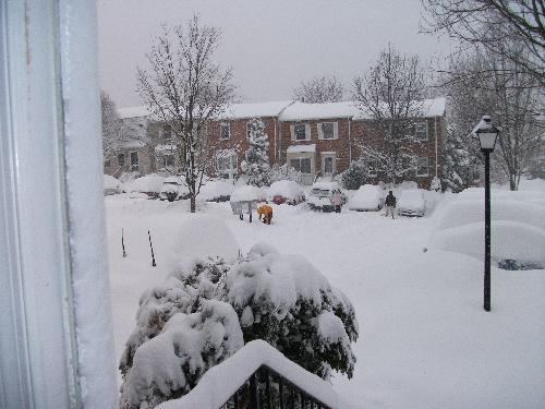 So heavy snow - This is a picture taken in front of our house after new year, when there was a heavy snow in DC.
