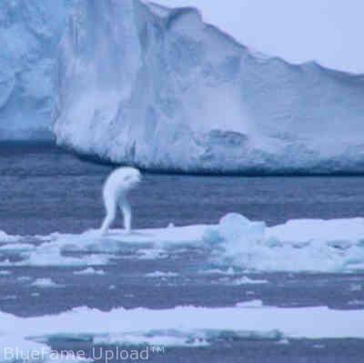 Ningen, a giant like human that inhabit icy waters - figure Ningen seen and recorded with a clear …!!! Ningen, a giant like human that inhabit icy waters - figure Ningen seen and recorded with a clear …!!!