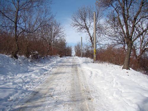 Winter - It's a winter time...