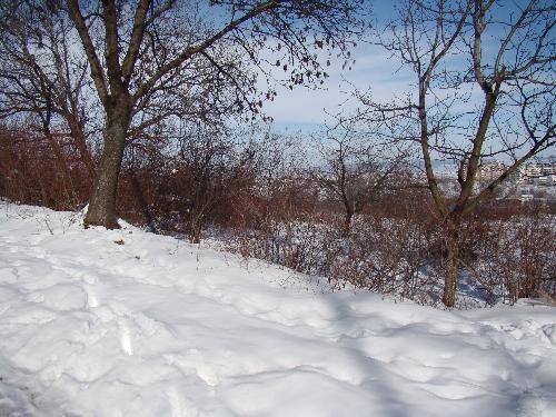 Winter - It's a winter time...