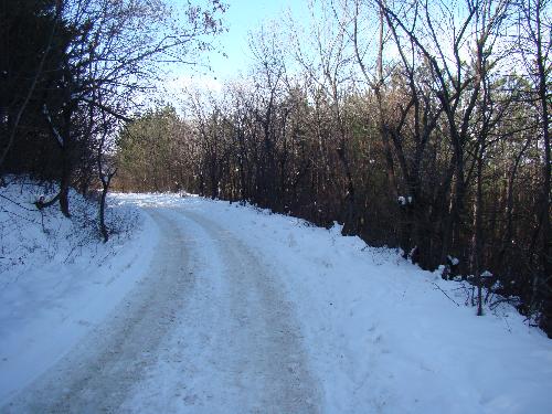 Winter - It's a winter time...