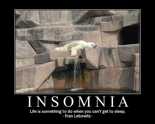 Insomnia - Life is something to do when you can't go to sleep.