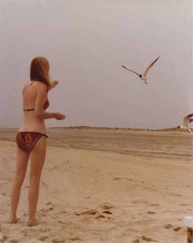I'm feeding seagulls lemon cookies. - This was taken in the mid-70s when I was quite a bit younger and quite a bit thinner (svelt, as I was fond of saying) and quite a bit more agreeable to wearing a bikini.