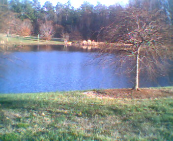 milliken pond - this is a pic of one of the ponds at milliken