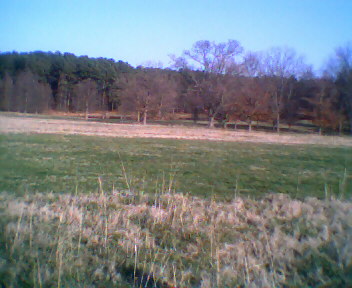 milliken park 03/21/10 - a pic of milliken park