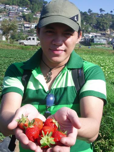 Pick One... - My First Pick of Strawberries at the farm of La Trinidad Benguet. Unmindful of the heat of the sun, the moment is filled with excitement as me and my Girlfriend are having a great time at the farm for we were the first who got there on that morning.