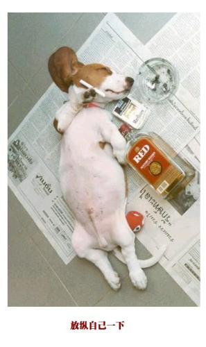 Funny - Enjoy and laugh!!!