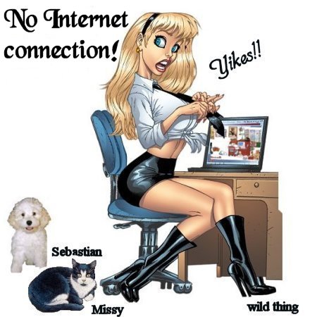 No Internet!?!? - no internet access....problem unidentified...