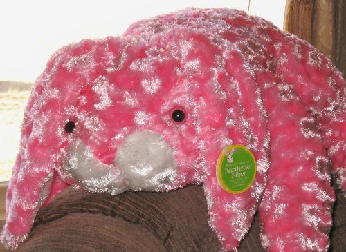 Easter gift - Savannas new stuffed toy. Easter gift - Savannas new stuffed toy.