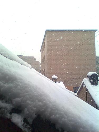 snow - This is the snow .and the house is covered