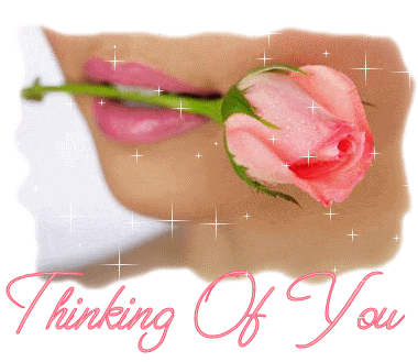 Flower - Which flower you like most and why? My favorite flower is rose and orchid.