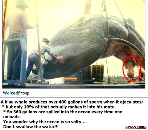 why sea SALTY? - read it.lol