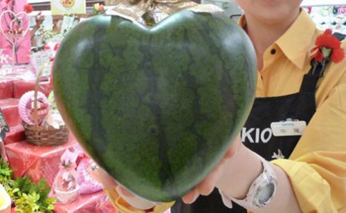 Lovable watermelon - watermelon shaped for love gift. you can use this watermelon to express your feeling.