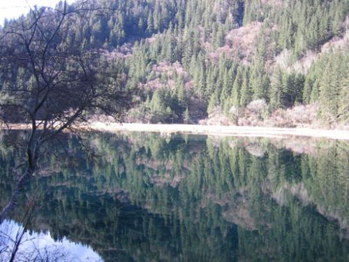 one nice view about Jiuzhaiguo in china - I think this picture, It make me comfortable and fresh.