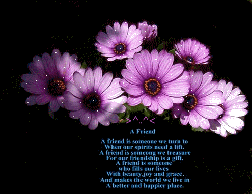 flower - Nice flower.