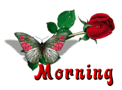 flower - very nice flower. My favorite flower is rose.