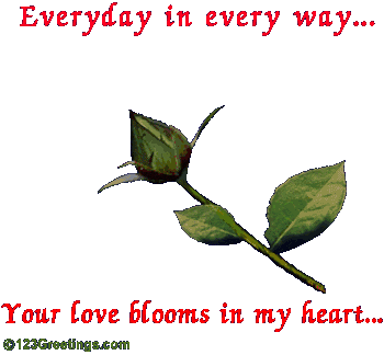 flower - flower as a gift.